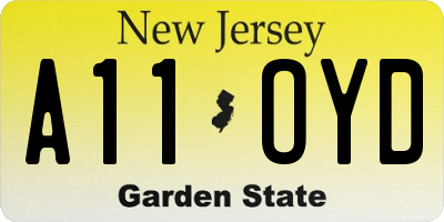 NJ license plate A11OYD