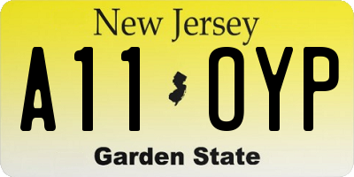 NJ license plate A11OYP