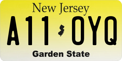 NJ license plate A11OYQ