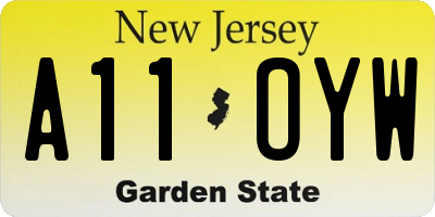 NJ license plate A11OYW
