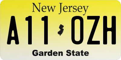 NJ license plate A11OZH