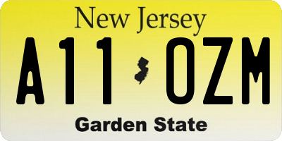 NJ license plate A11OZM