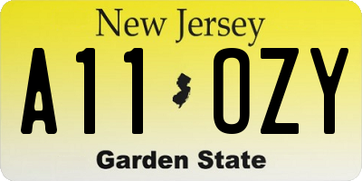 NJ license plate A11OZY