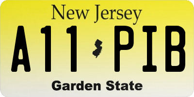 NJ license plate A11PIB