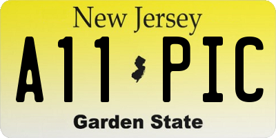 NJ license plate A11PIC