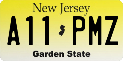 NJ license plate A11PMZ