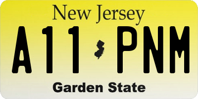 NJ license plate A11PNM