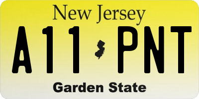 NJ license plate A11PNT