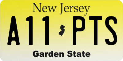 NJ license plate A11PTS