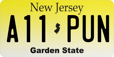 NJ license plate A11PUN