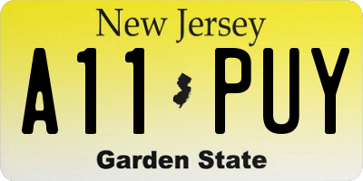 NJ license plate A11PUY