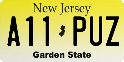 NJ license plate A11PUZ