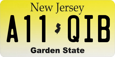 NJ license plate A11QIB
