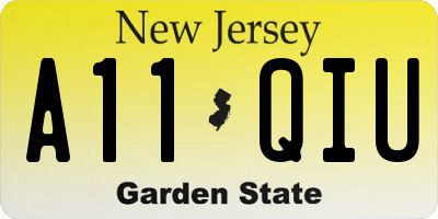 NJ license plate A11QIU