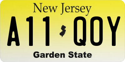 NJ license plate A11QOY