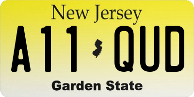 NJ license plate A11QUD