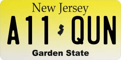 NJ license plate A11QUN