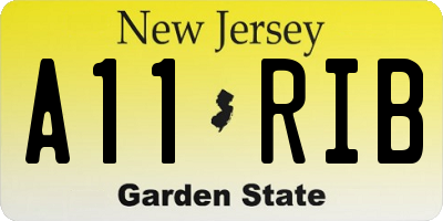 NJ license plate A11RIB