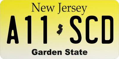 NJ license plate A11SCD