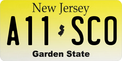 NJ license plate A11SCO
