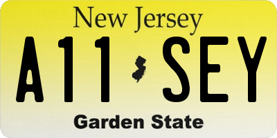 NJ license plate A11SEY