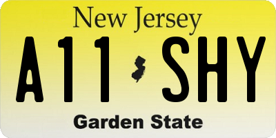 NJ license plate A11SHY