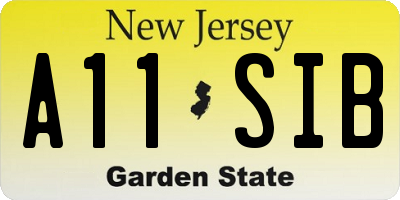 NJ license plate A11SIB