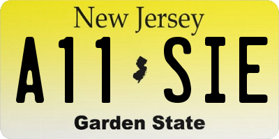 NJ license plate A11SIE