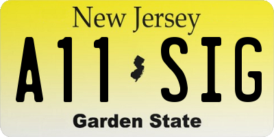 NJ license plate A11SIG