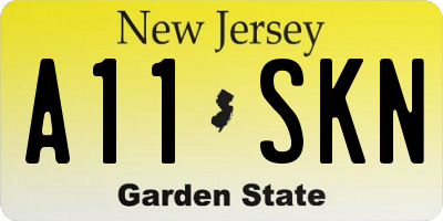 NJ license plate A11SKN