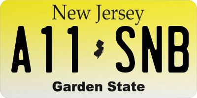 NJ license plate A11SNB