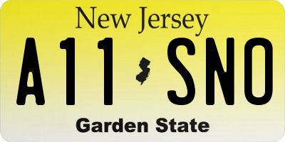 NJ license plate A11SNO