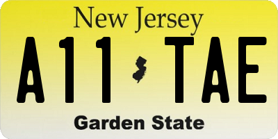NJ license plate A11TAE