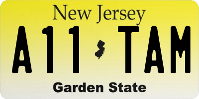 NJ license plate A11TAM