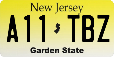 NJ license plate A11TBZ
