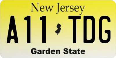 NJ license plate A11TDG
