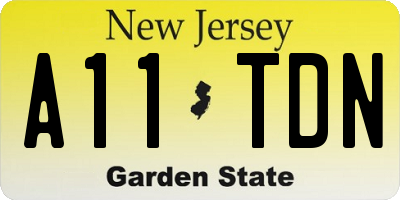 NJ license plate A11TDN