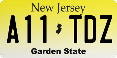 NJ license plate A11TDZ