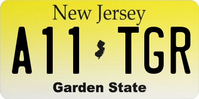 NJ license plate A11TGR