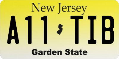 NJ license plate A11TIB