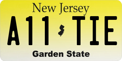NJ license plate A11TIE