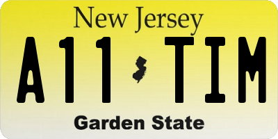 NJ license plate A11TIM