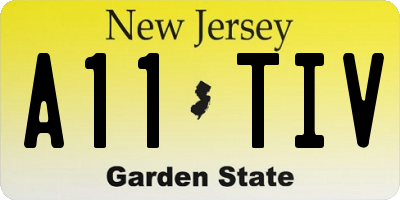NJ license plate A11TIV