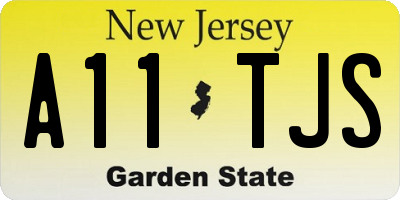 NJ license plate A11TJS
