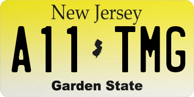 NJ license plate A11TMG
