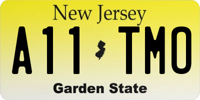 NJ license plate A11TMO