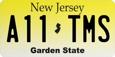 NJ license plate A11TMS