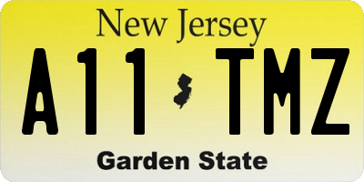 NJ license plate A11TMZ