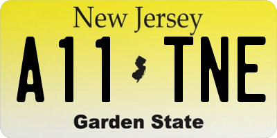 NJ license plate A11TNE