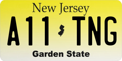 NJ license plate A11TNG